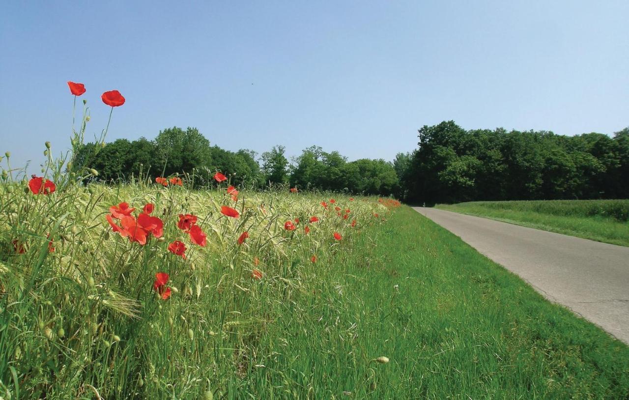 Gite De La Lombardie Lottinghen Exterior foto